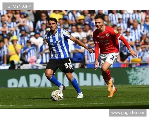 巴恩斯利足球俱乐部迎来新主帅 目标重回英格兰冠军联赛顶级行列