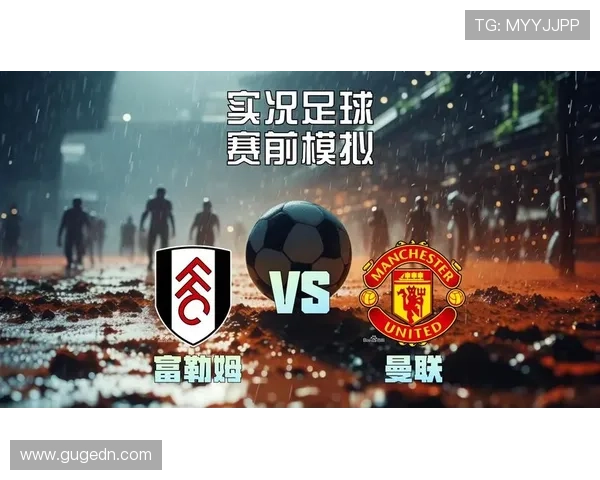 深度解析富勒姆足球俱乐部的发展历程与未来前景探索