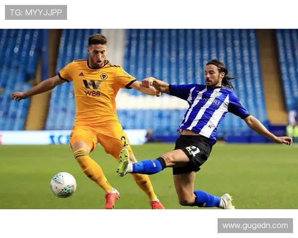 谢菲尔德星期三俱乐部的历史辉煌与未来展望分析